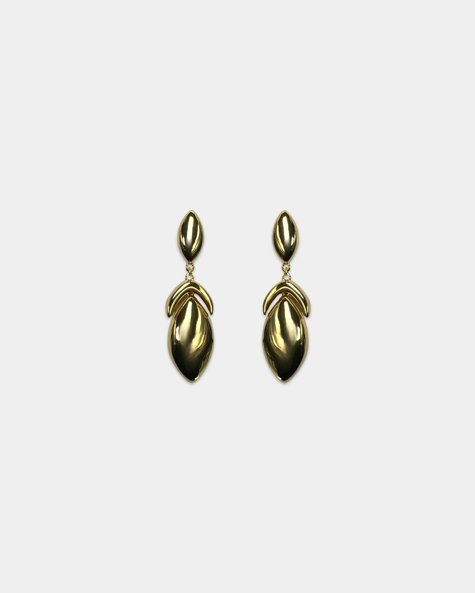 Golden Dangle Earrings