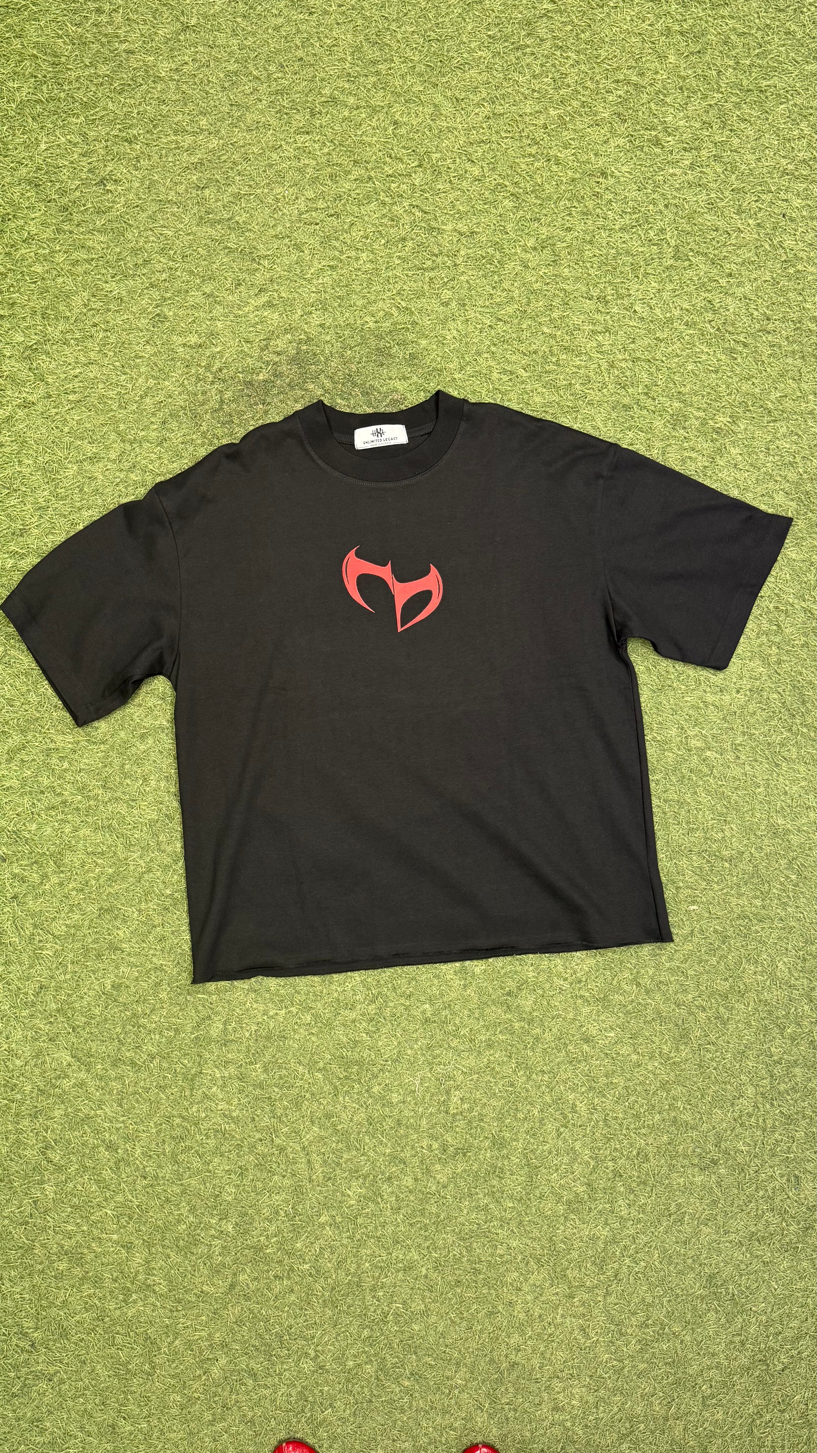 UnlimitedLegacY EXP- 2025 FD Black Tee